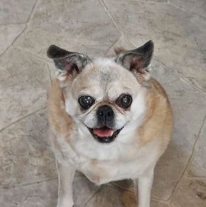 Meet your Posher, Edward